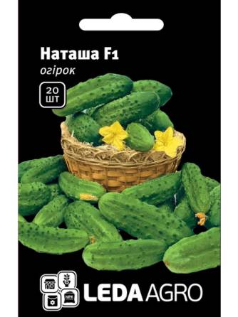 Наташа