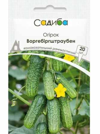 Воргебіргштраубен